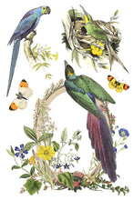 Load image into Gallery viewer, Flora Greca IOD 8x12 Transfer
