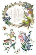 Load image into Gallery viewer, Flora Greca IOD 8x12 Transfer
