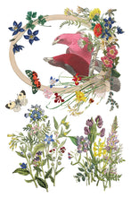 Load image into Gallery viewer, Flora Greca IOD 8x12 Transfer
