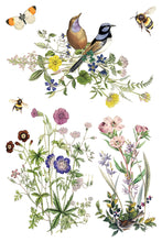 Load image into Gallery viewer, Flora Greca IOD 8x12 Transfer
