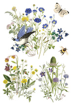 Load image into Gallery viewer, Flora Greca IOD 8x12 Transfer
