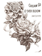 Load image into Gallery viewer, IOD May&#39;s Roses 12&quot;x16&quot; Decor Transfer
