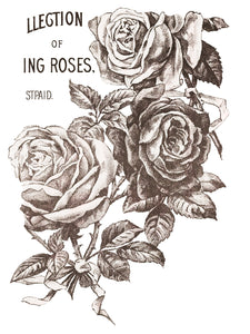 IOD May's Roses 12"x16" Decor Transfer
