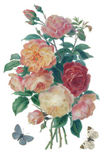 Load image into Gallery viewer, Saint Ouen IOD 8x12 IOD  Transfer
