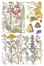 Load image into Gallery viewer, Primrose Isle 8x12 IOD Transfer_Iron Orchid Designs
