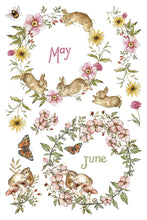Load image into Gallery viewer, The Bramblewood Diaries | Iron Orchid Designs | Décor Transfer
