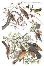 Load image into Gallery viewer, Winter's Calling | Iron Orchid Designs | Décor Transfer
