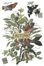 Load image into Gallery viewer, Winter's Calling | Iron Orchid Designs | Décor Transfer
