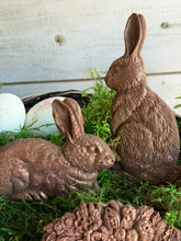 Load image into Gallery viewer, Les Lapins IOD 6x10" Mould
