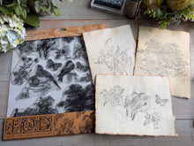 Load image into Gallery viewer, Meadowlark IOD 12x12 Stamp
