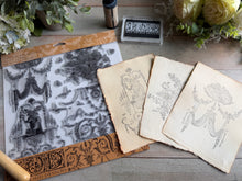Load image into Gallery viewer, Palais Des Fleurs IOD 12x12 Stamp
