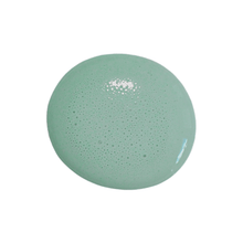 Load image into Gallery viewer, Birdie Sweet Pickins' Milk Paint
