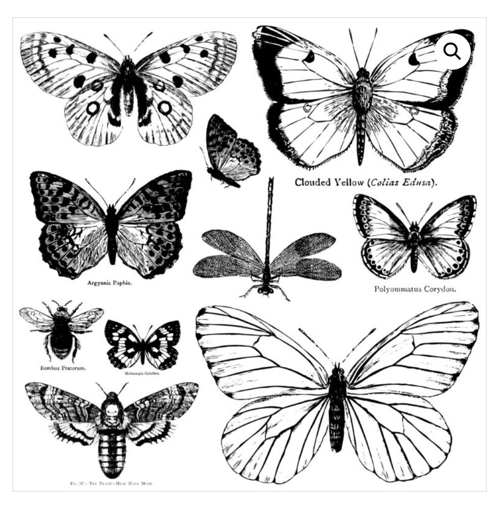 Butterflies IOD 12x12 Decor Stamp