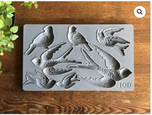 Load image into Gallery viewer, Iron Orcid Designs 6x10 Bird Song Mould IOD
