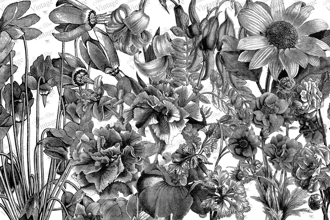 JRV Black and White Floral Decoupage Paper
