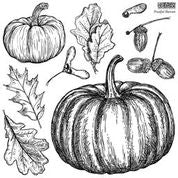 Load image into Gallery viewer, Fruitful Harvest IOD 12x12  Decor Stamp Set Iron Orchid Designs Fall Pumpkins
